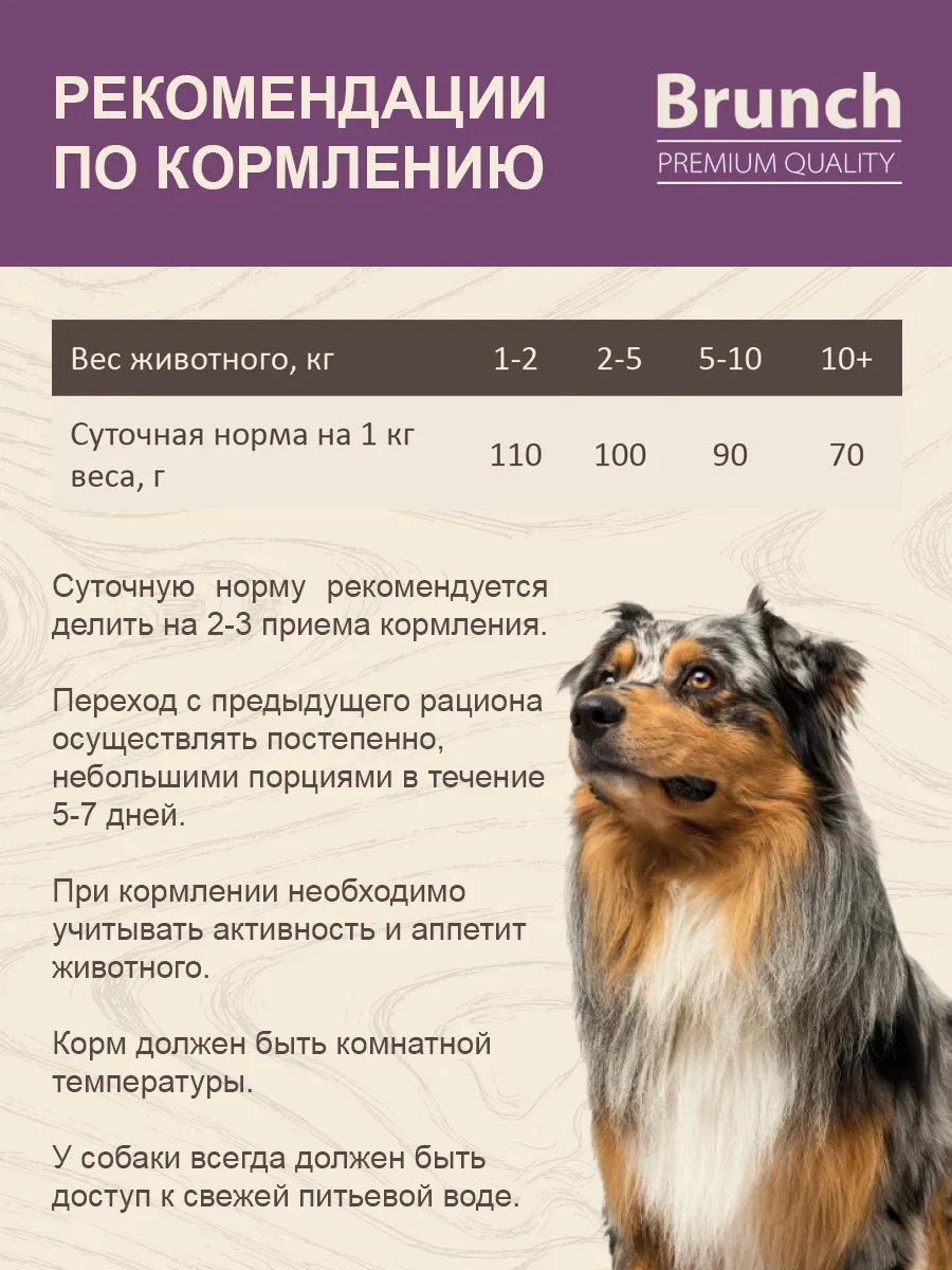 Vkusmasina Brunch Yaş Mama Kalpli 340g 12'li Paket Köpek Maması 326403065