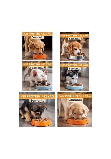Teolix Somonlu Yetişkin Köpek Maması 15 Kg %25 Protein %12 Yağ