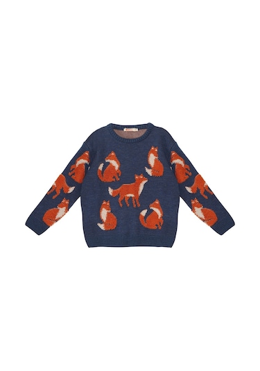 Denokids Mshb&g Tilki Erkek Çocuk Lacivert Triko Kazak Çok Renkli