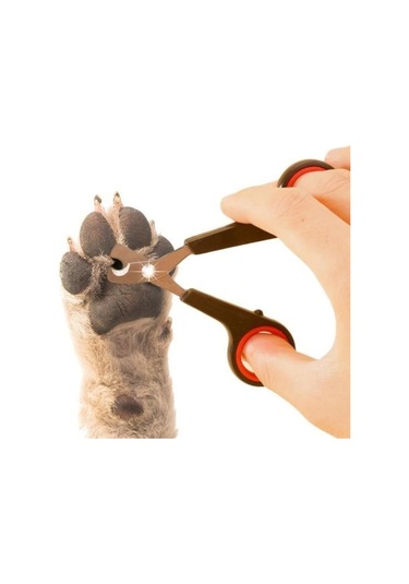 Buffer Evcil Hayvan Tırnak Makası Ve Törpü Seti Manikür Pedikür Pati Bakım Aleti Kaymaz Sap Çok Renkli