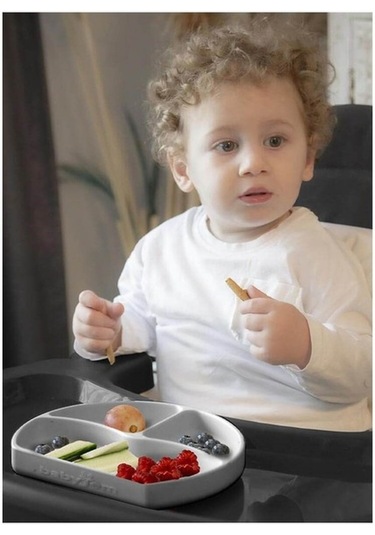 Babyjem Silikon Tabak Gri