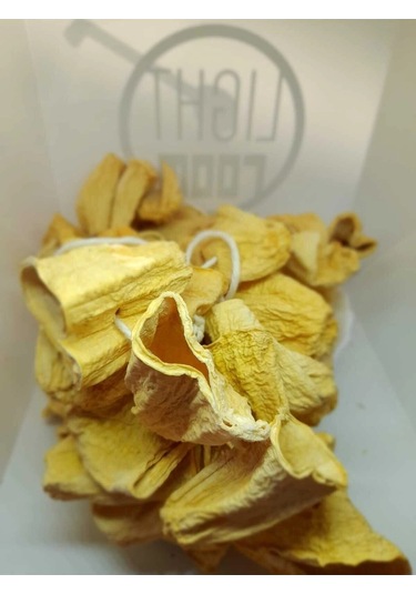 Yeni Muhsul Dolmalık Kabak Kurusu 1 Dizi 25 Adetli