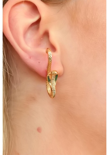 Yılan Tasarım Bayan Küpe Çok Renkli