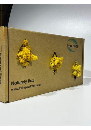 Reindermoss Şoklanmış Norveç Yosunu Terarium Yosunu Sarı 500 Gr.