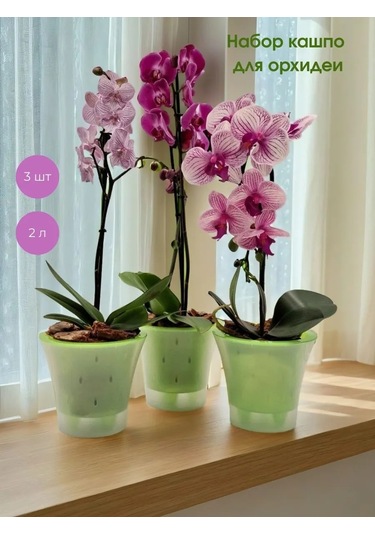 Live-in-green 2 Litre Orkide İçin Şeffaf Plastik Saksı Takımı 342131427