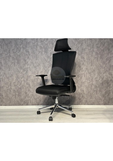 Eden Fileli Üst Düzey Yönetici Koltuğu