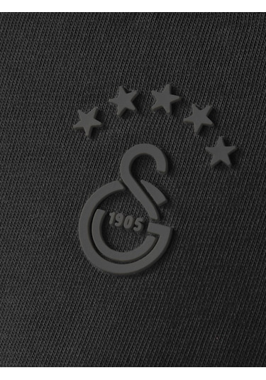 Gsstore Galatasaray Çocuk T-shirt C252099 Siyah
