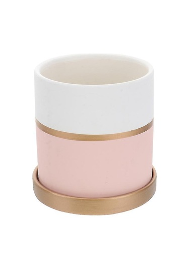 1 Adet Küçük Sukulent Bitki Saksısı