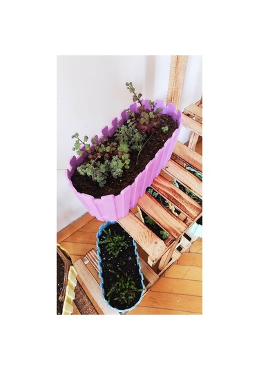 3 Adet Akasya Saksı, Bahçe Balkon Saksı, Çit Saksı 30 Cm