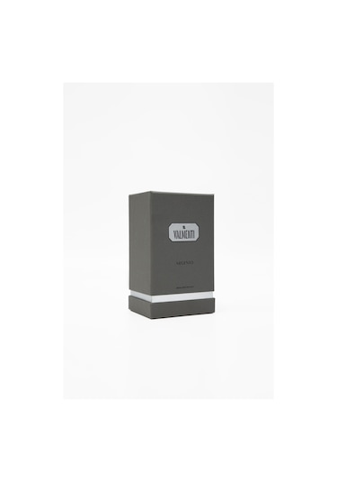 Valmenti Argento Erkek Parfüm EDP 100 ML