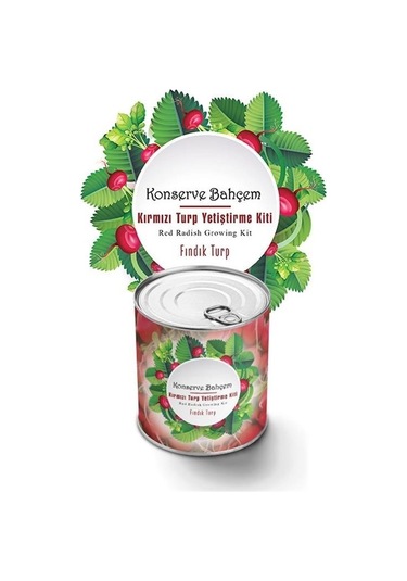 Buffer Konserve Bahçem Evde Konservede Fındık Turp Yetiştirme Kiti Mavi