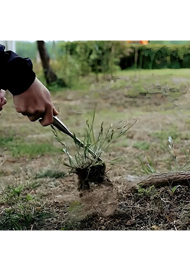Singree Bahçe Yabani Ot Temizleme Aleti - Kökünden Sökme Ve Toprak Kazma İçin Çok Fonksiyonlu Çapa