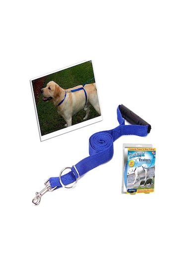 İnstant Köpek Yürüme Ve Eğitim Tasması