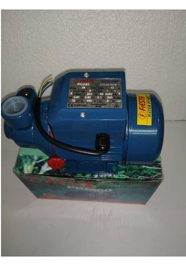 Fiesta Pkm-60 Su Motoru