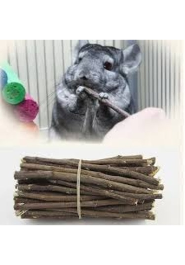 Kemirgenler için Elma Ağacı Dalı