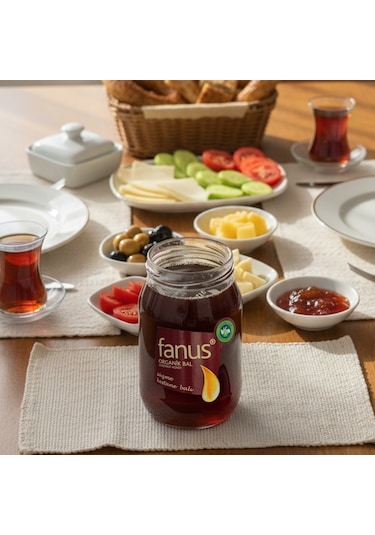 Fanus Organik Süzme Kestane Balı 460 G