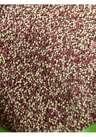Yunus Balığı Yemi, Yunus Ciklet Kafa Yemi, Yüksek Protein 50 Gram