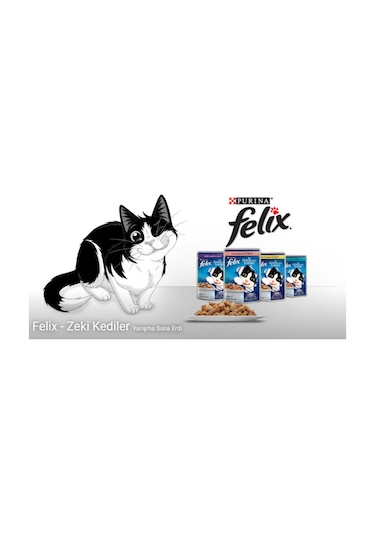 Agail Sığır Etli Kedi Pouch 85gr 20'li