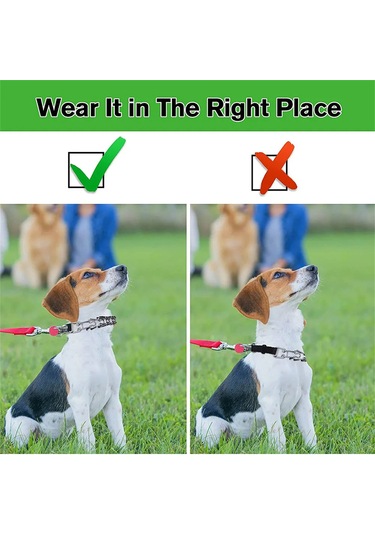 Shineyee Hızlı Açılır Tokalı Ayarlanabilir Köpek Eğitim Tasması - Metal Uçlu Rahat Kullanım