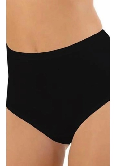 Aydoğan Kadın Biyeli Yüksek Bel Pamuk'lu Bato Külot 0078 - 12 Adet 001