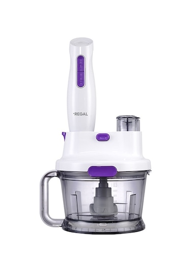 Regal RMBS 1000 B Multi Blender Set