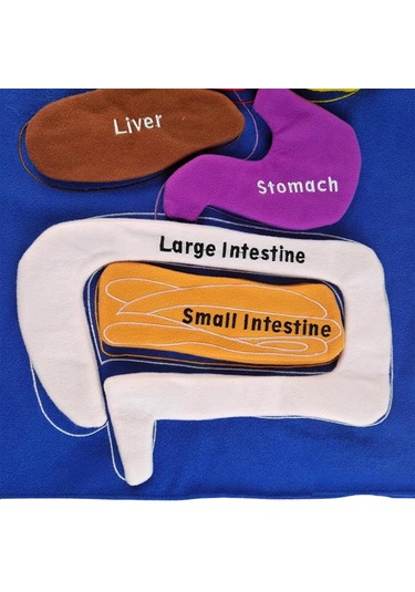 Suntek Dıy Organ Önlüğü Eğitim Aracı Önlük Mutfak