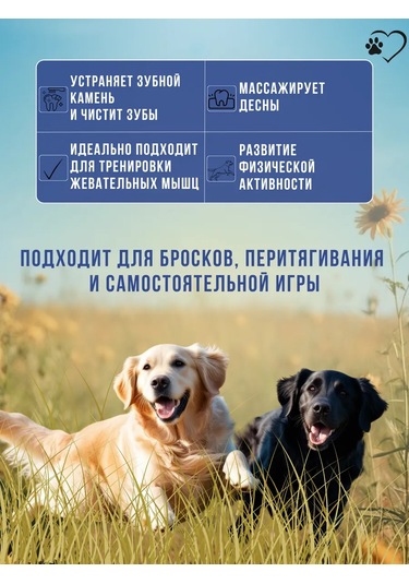 Best Price 34 Köpekler İçin İp Oyuncak Top İle 318203254