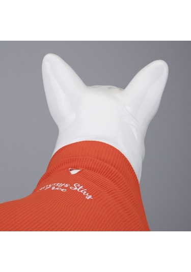 Flex Always Stay Free Küçük Ve Orta Irk Köpek Tshirt
