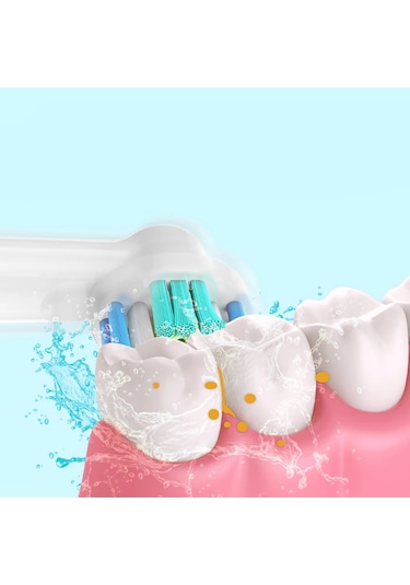 Echo Home Regular Cleaning Oral-B Uyumlu Yedek Başlık 4'lü