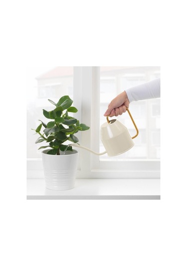 Vattenkrasse Sulama Kabı 900 ML Krem - Altın