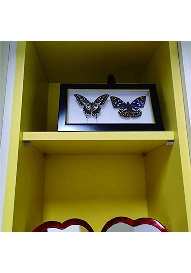 Xurunkeji 40 Adet Raf Braketi Vidaları, Kaymaz Kılıflı Manşon, Mobilya Ve Kitaplık Rafı İçin Delinmeyen Tahta Tutucu 9x6x4cm