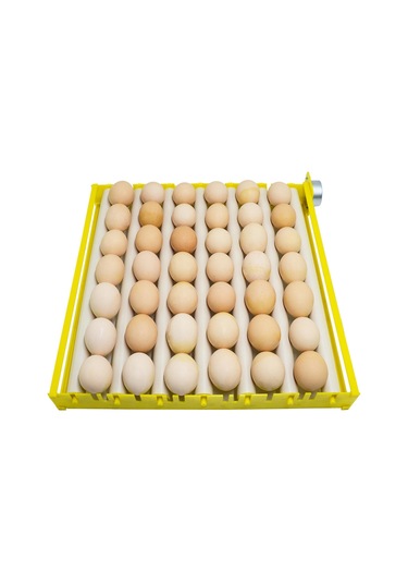 Suntek Yumurta Kuluçka Tepsisi Otomatik Silindiri Ev 9-tüp