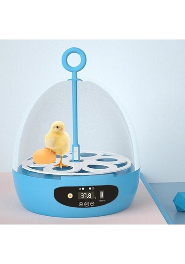 Diğer Suntek Mini 6 Yumurta Kuluçka Makinesi Hatcher Usb-otomatik-mavi