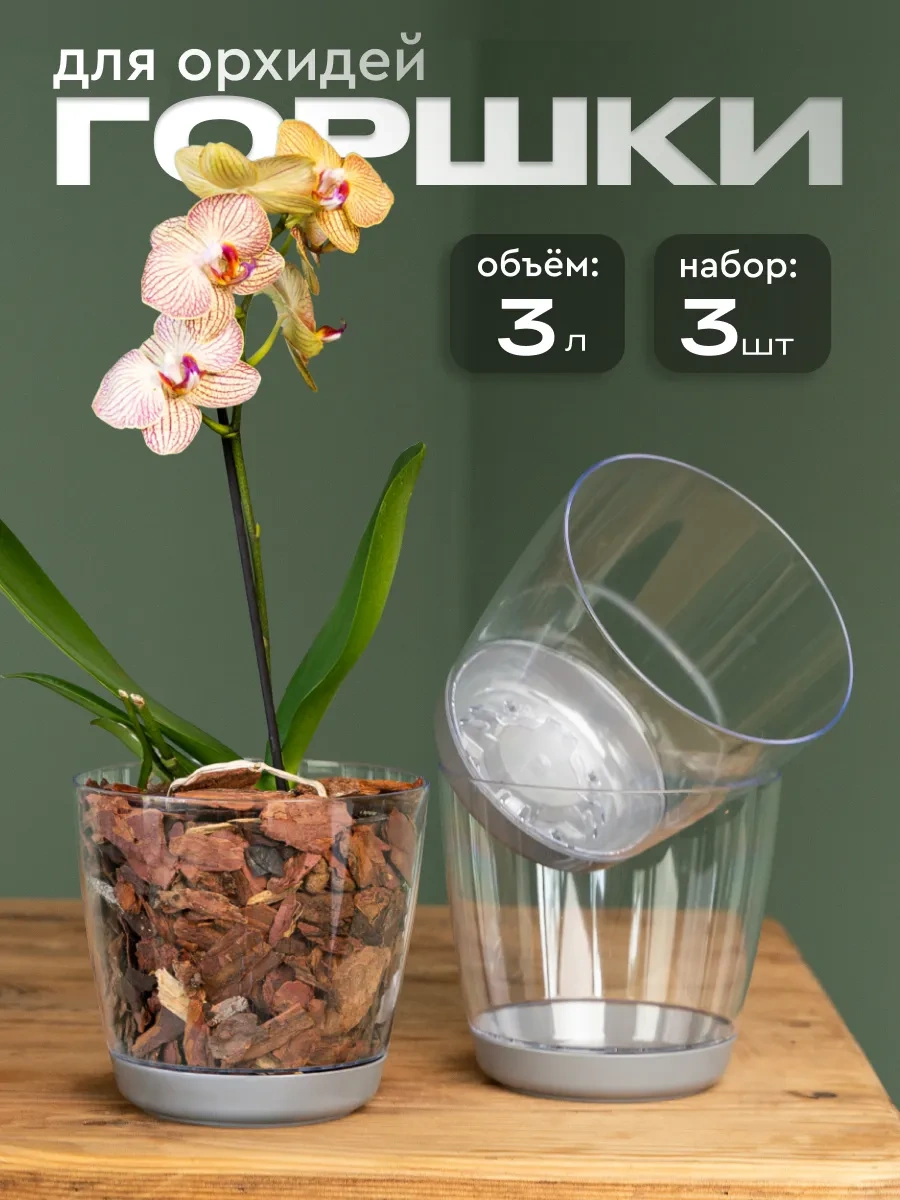 Elly Home Orkide İçin Büyük Şeffaf Saksı 171430256