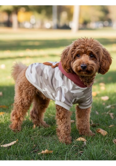 Safari Friends Kapüşonlu Köpek Sweatshirt Küçük Irklar