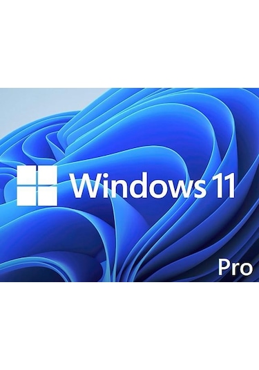 Ms Windows 11 Pro Fqc-10556 64Bıt Tr  Oem