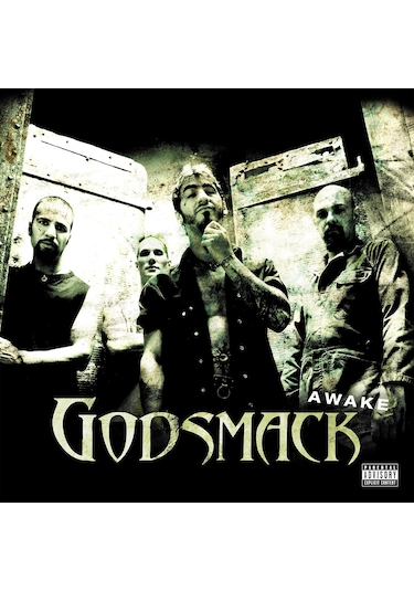 Godsmack - Awake / 2 X Plak