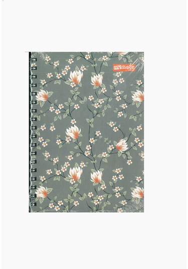 Mynote Planlayıcı 17x24 Sert Kapak Spiralli 100 Sayfa Gri Çok Renkli
