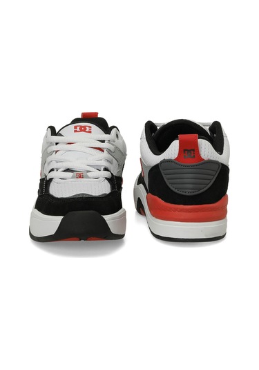 Dc Ascend Grı Erkek Sneaker Gri