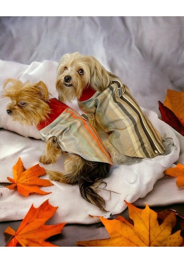 Kemique Stripe Orange Su İtici Köpek Yağmurluğu