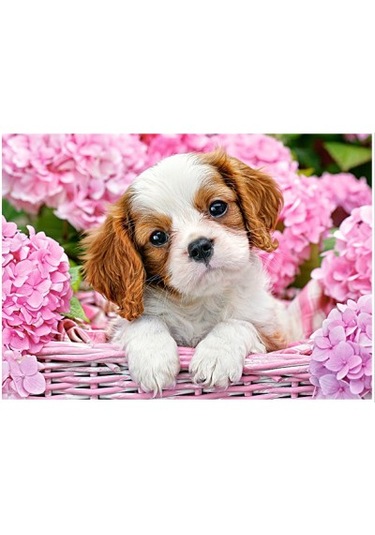 Castorland 180 Parça Pup İn Pink Flowers Puzzle