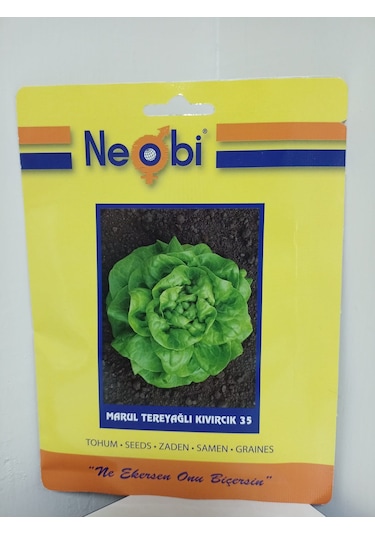 Neobi Tereyağlı Kıvırcık Marul Tohumu 10 Gr 1 Adet