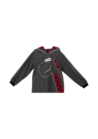 Denokids Dino Erkek Çocuk Kapüşonlu Sweatshirt Gri