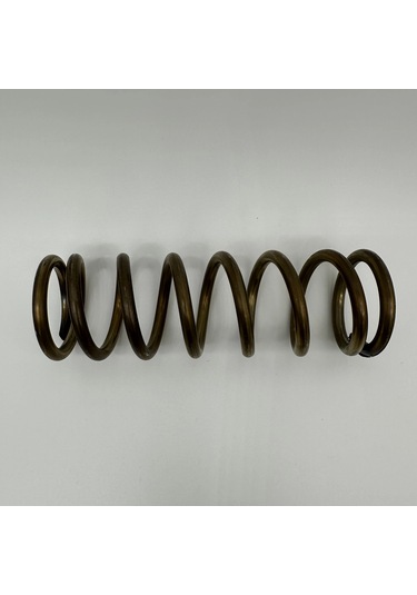 Transpalet Pompa Yayı Krom Paslanmaz