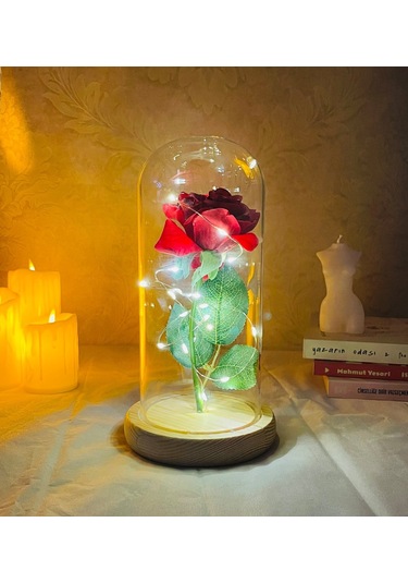 Cam Fanus İçerisinde Dekoratif Led Işıklı Solmayan Gül Lamba