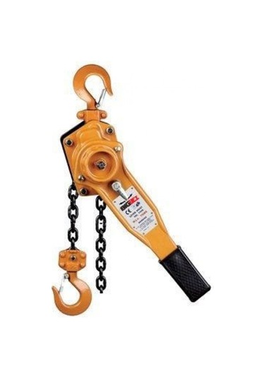 Hubzug 1.5 Ton 1.5 Metre