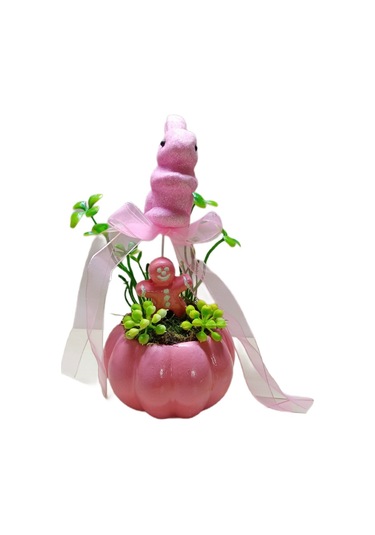 Neolife Yeni Doğan Kız Bebek Hediyesi Aramıza Hoş Geldin Hediyesi Sevimli Tavşancık Detaylı Kabak Teraryum