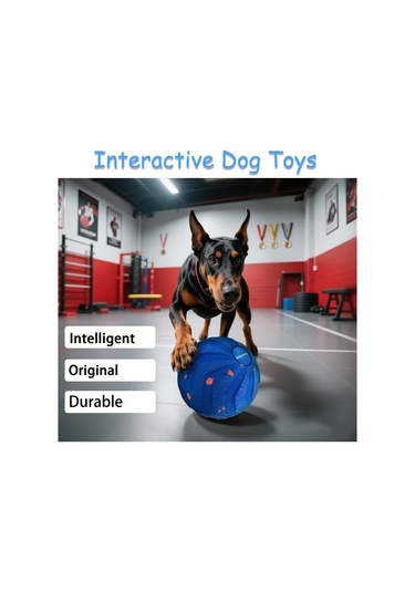 Fochsia Siyah E-tpu Malzeme Orta Ve Büyük Köpekler İçin Otomatik Hareketli Zıplayan Dönen Top