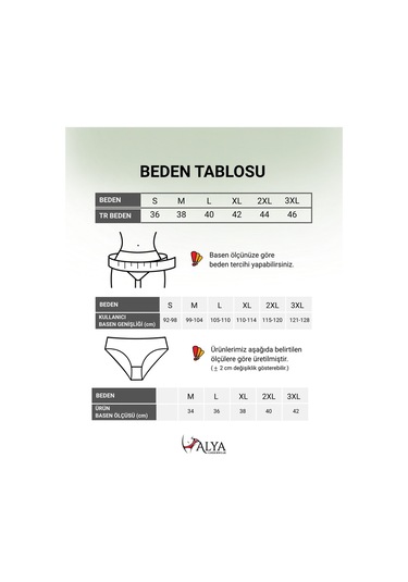 Alya Underwear Kadın Pamuklu Hipster - Slip Külot 5 Farklı Renk 1 Pakette P09