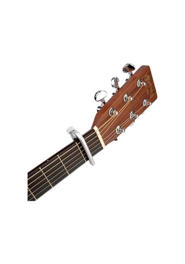 Planet Waves Pw-cp-02s Capo - Silver